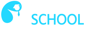 SkillSchool