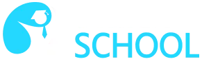 SkillSchool