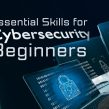 What Skills are required for Cyber Security Entry Level Jobs?